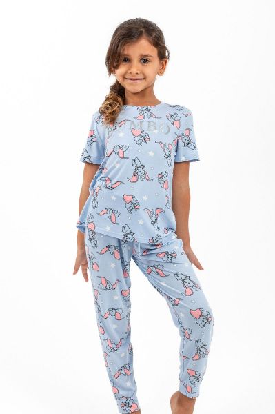 Girls Printed Pale Blue Pajama Set